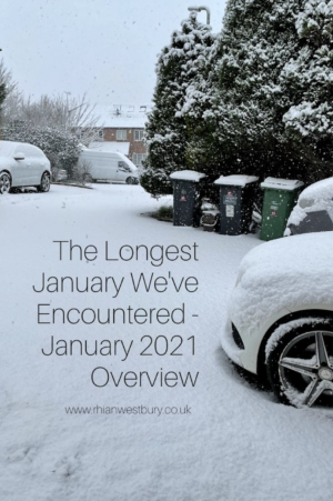 The Longest January We've Encountered - January 2021 Overview #jan2021 #january2021 #januaryoverview #janoverview #lockdown3uk #whativebeenupto
