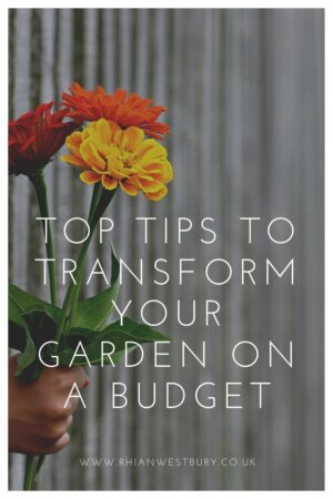Top Tips To Transform Your Garden On A Budget #budgetgarden #gardenonabudget #transformyourgarden #transformyourgardenonabudget #gardenreno #gardenupdates