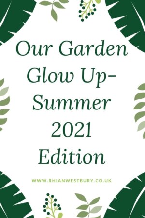Our Garden Glow Up- Summer 2021 Edition #gardenreno #gardenrenovation #gardenglowup #garden